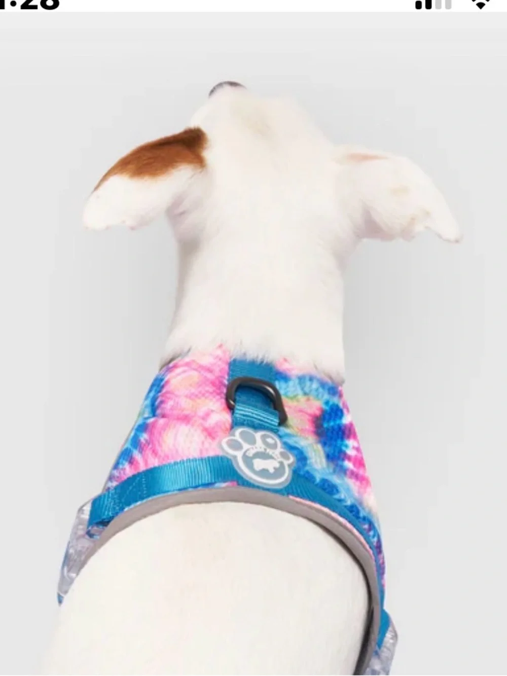 Tie-Dye Canada pooch cooling Harness 14